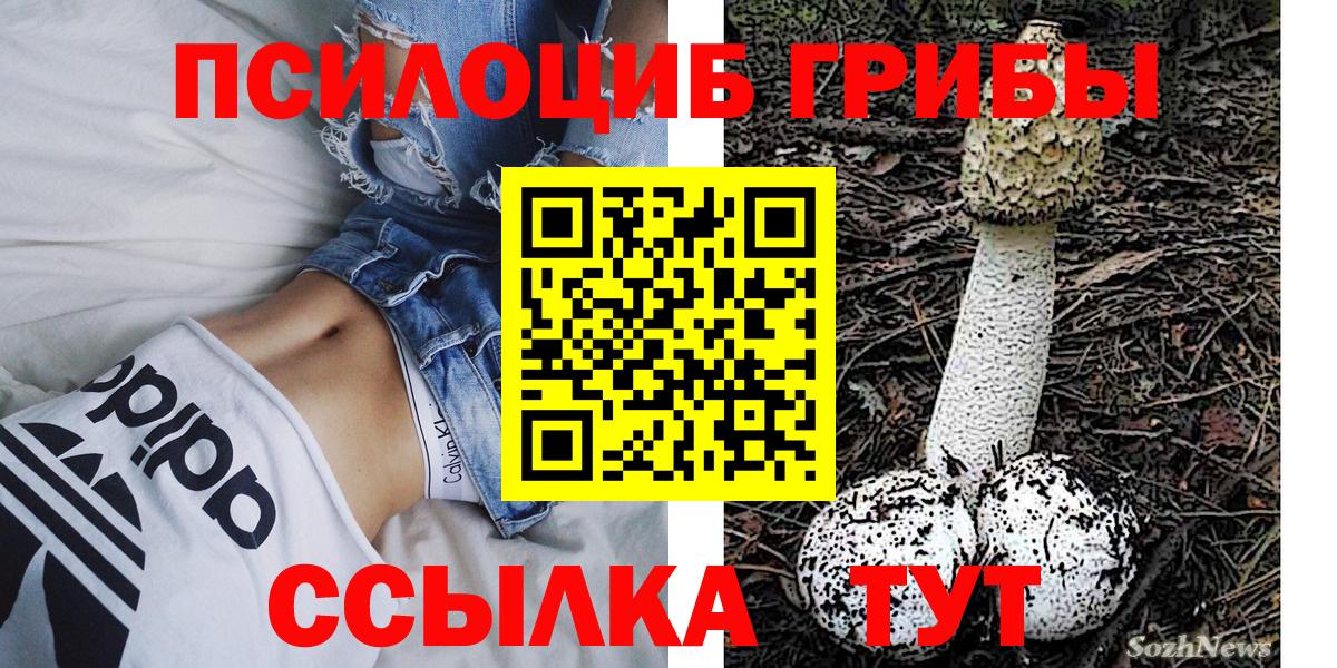 Псилоцибиновые грибы мухоморы Обь