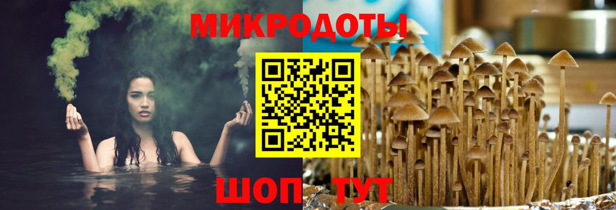 Обь  Галлюциногенные грибы ЛСД  Вход с VPN 